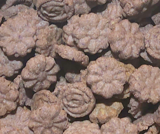Gâteries "Fleurs du Nord"
