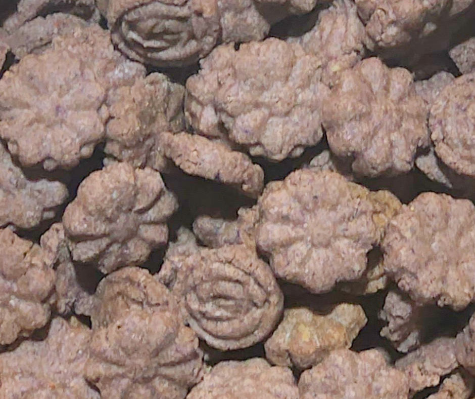 Gâteries "Fleurs du Nord"