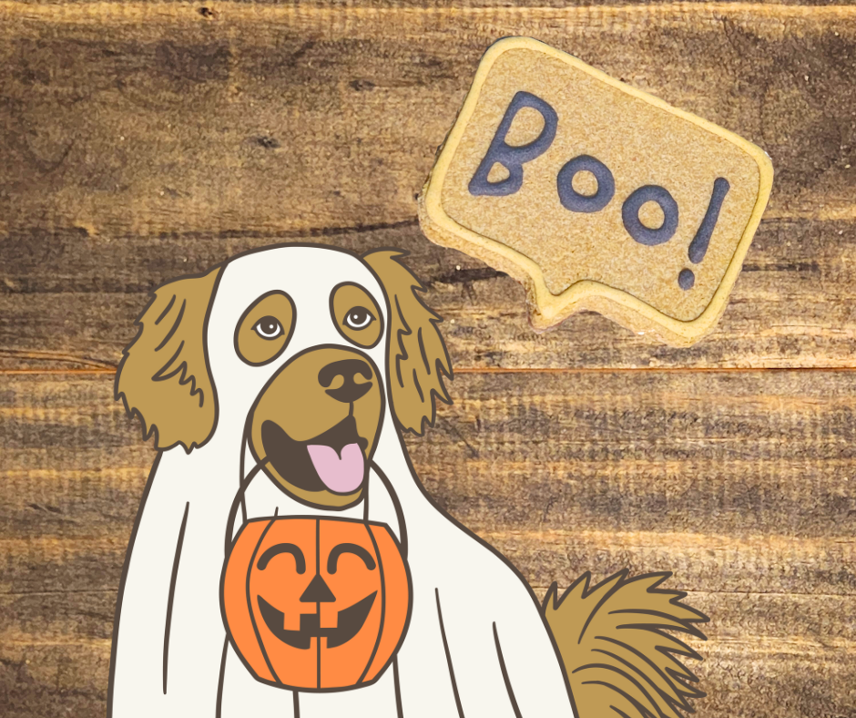 Biscuit "Boo!"