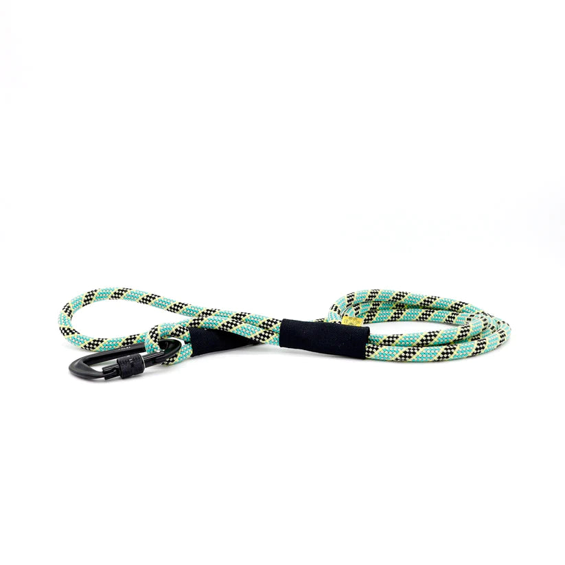 Path Leash - Leashes - Turquoise & Black