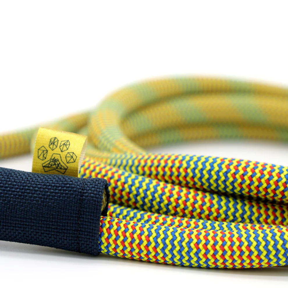 Path Leash - Laisse - 5pi Jaune, rouge et bleue