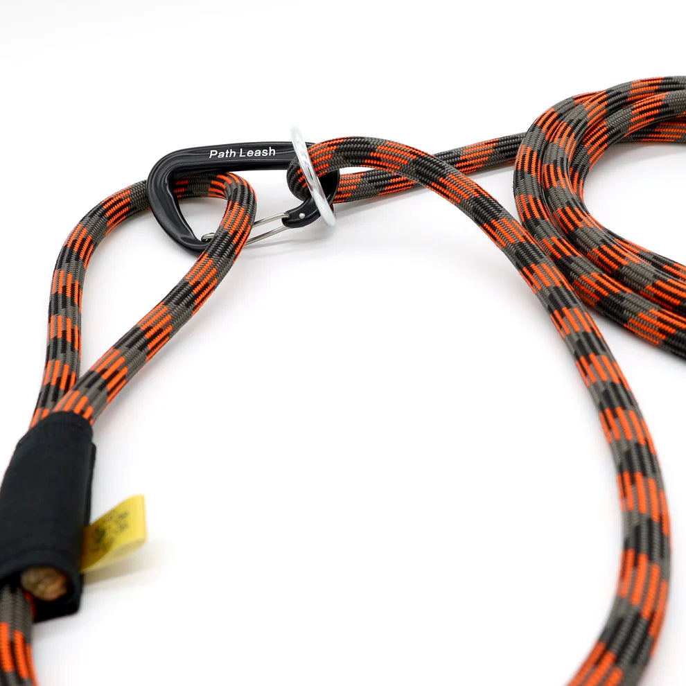 Path Leash - Laisse - mains-libres Orange & Noire