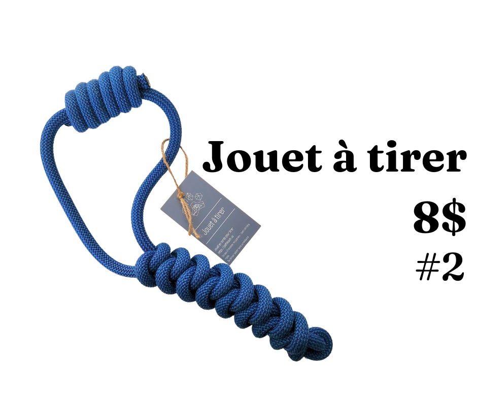 Jouets à tirer- modèles multiples - Path Leash