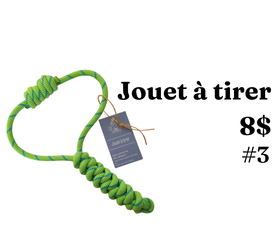 Jouets à tirer- modèles multiples - Path Leash