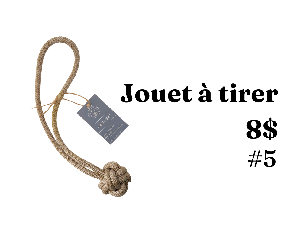 Jouets à tirer- modèles multiples - Path Leash