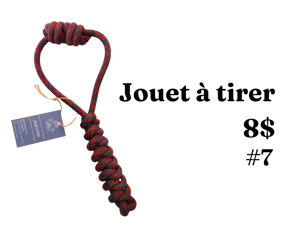 Jouets à tirer- modèles multiples - Path Leash