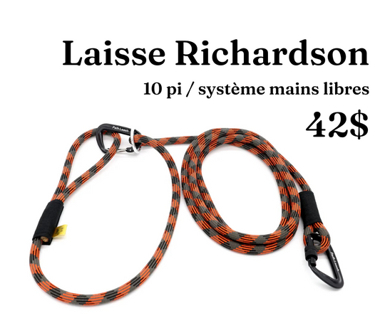 Path Leash - Laisse - mains-libres Orange & Noire