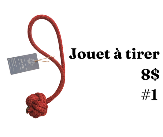 Jouets à tirer- modèles multiples - Path Leash