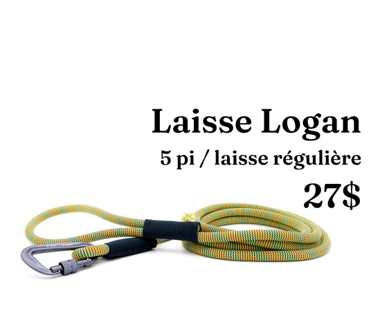 Path Leash - Laisse - 5pi Jaune, rouge et bleue