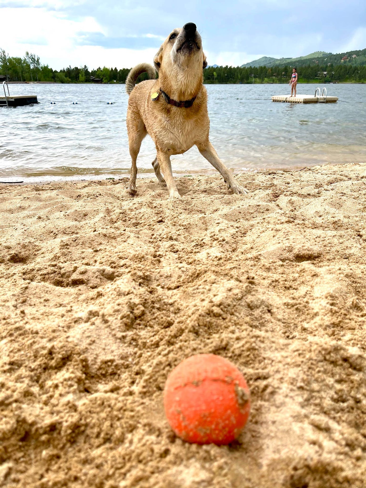 Floating ball - SodaPup