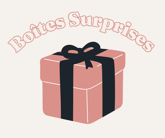 Boîte Surprise pour Chiens