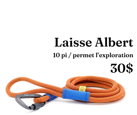 Path Leash - Laisse - 10pi Orange