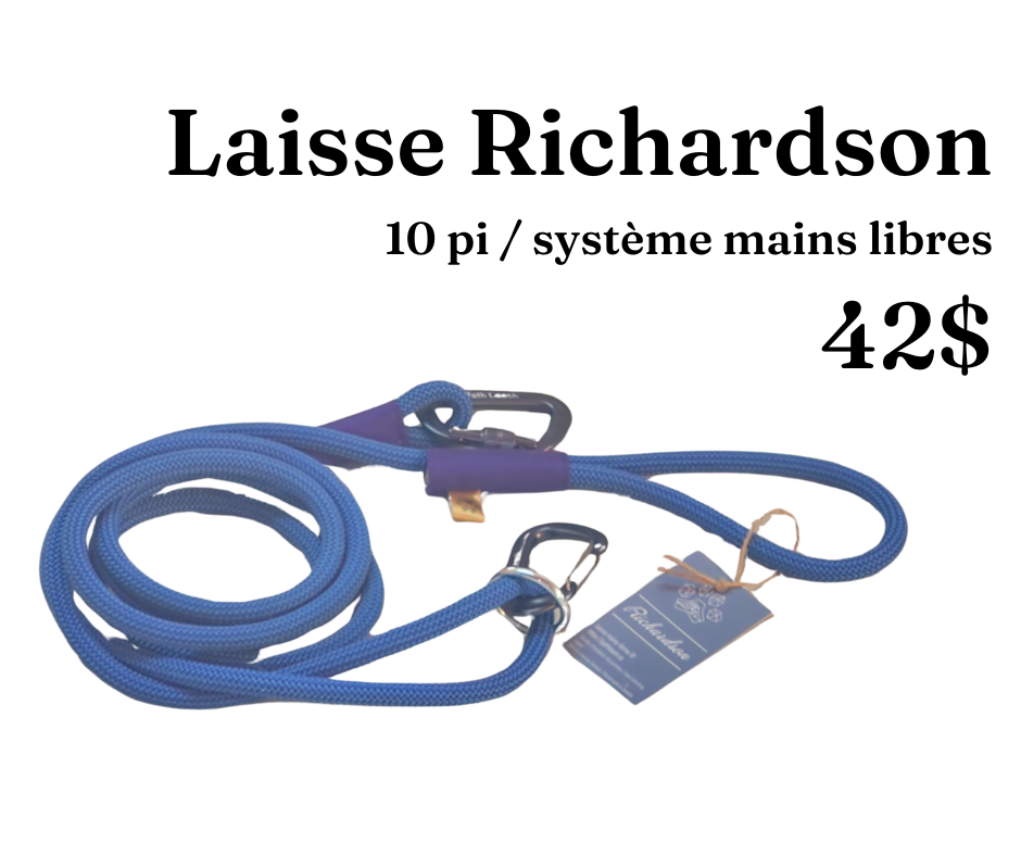 Path Leash - Hands-free leash Blue &amp; Purple