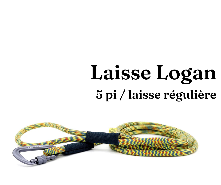 Path Leash - Laisse - 5pi Jaune, rouge et bleue