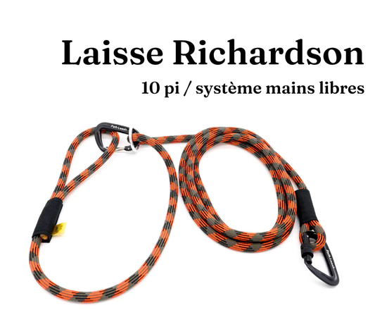 Path Leash - Laisse - mains-libres Orange & Noire
