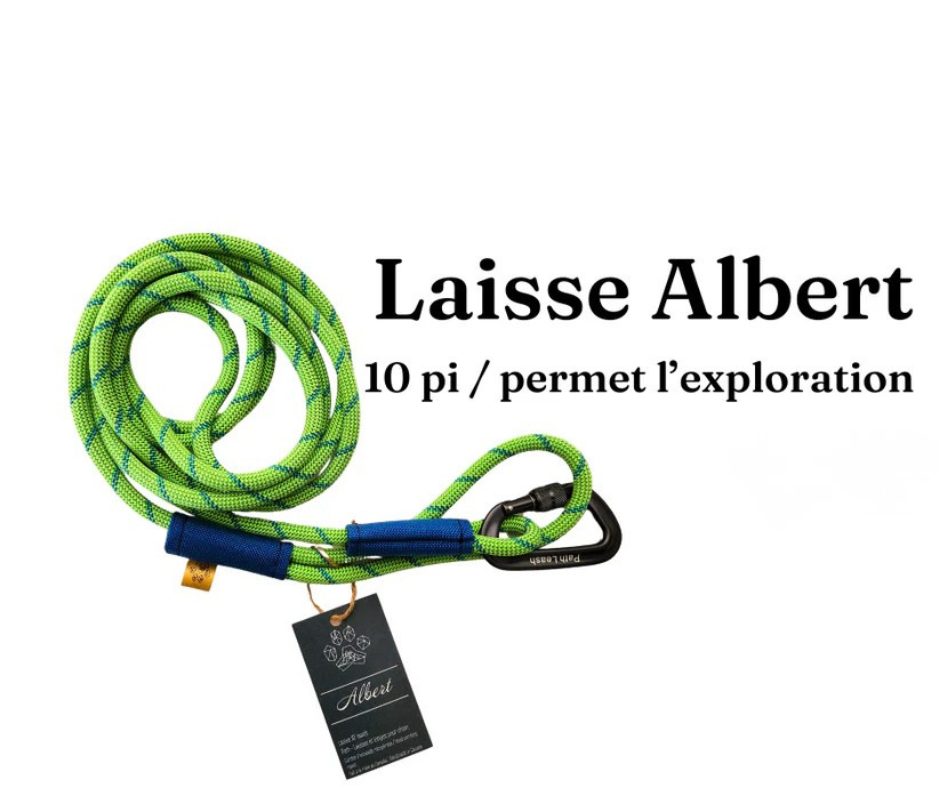 Path Leash - Leash - 10ft Orange