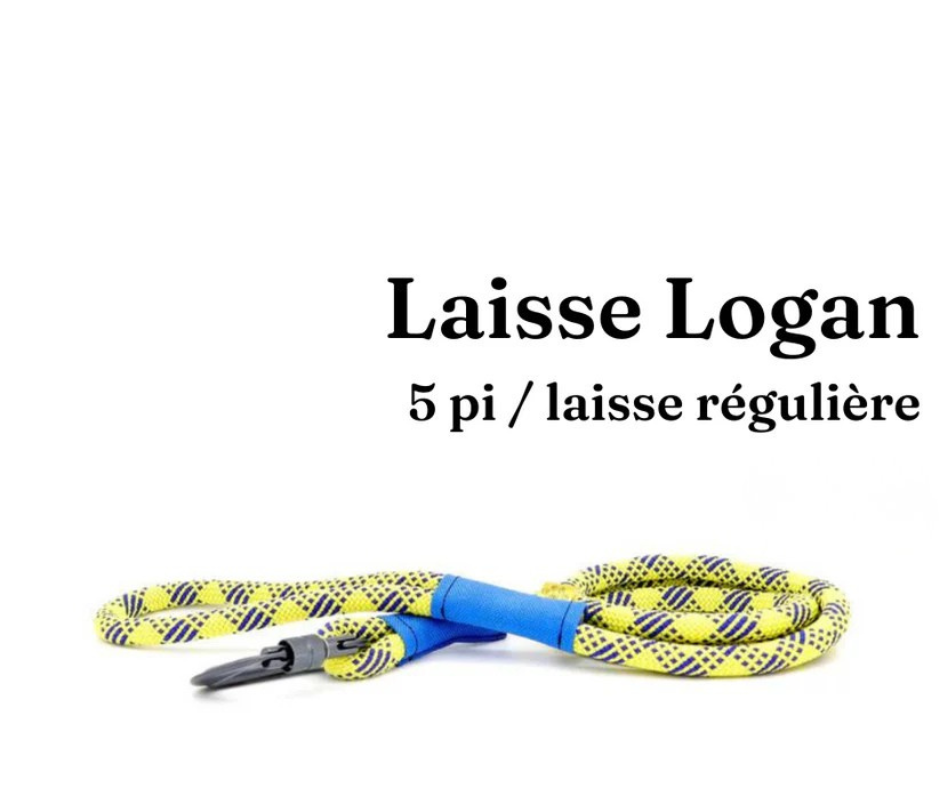 Path Leash - Laisse - Jaune & bleu