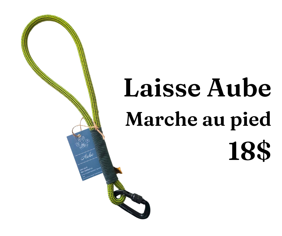 Path Leash - Laisse Aube - Lime & noire