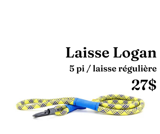 Path Leash - Laisse - Jaune & bleu