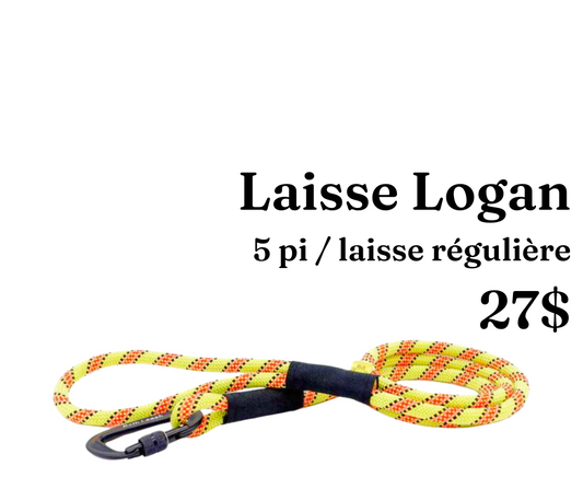 Path Leash - Leash - Lime, orange &amp; black