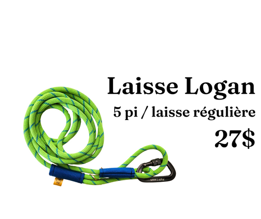Path Leash - 5ft Leash - Green