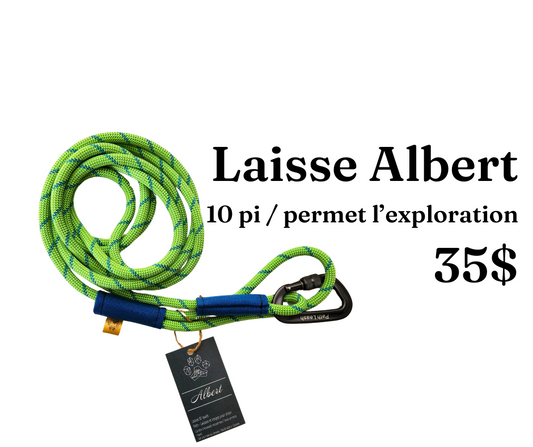 Path Leash - Laisse - 10pi Lime & Bleue