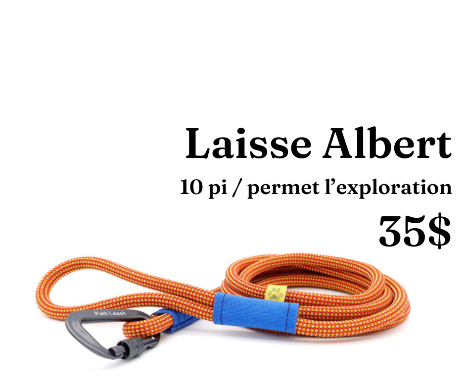 Path Leash - Leash - 10ft Orange