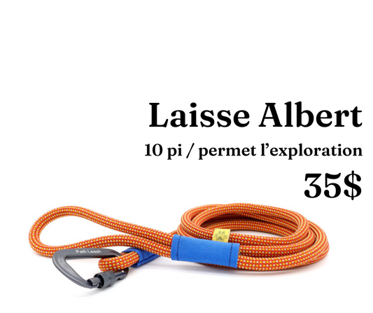 Path Leash - Leash - 10ft Orange