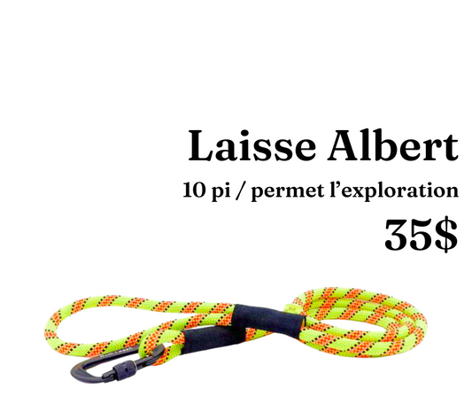 Path Leash - Laisse - 10pi Lime, Orange & Noire