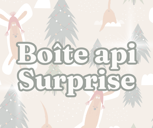 Surprise Box for Dogs