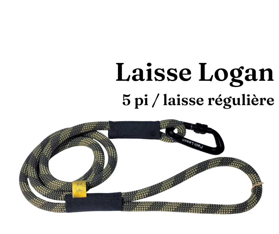 Path Leash - Leash - 5ft Lime &amp; Blue