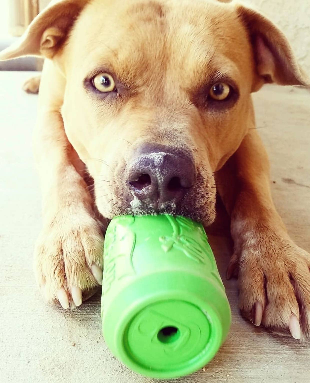 Canette verte - Soda Pup