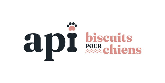 Carte-cadeau api-biscuits pour chiens.