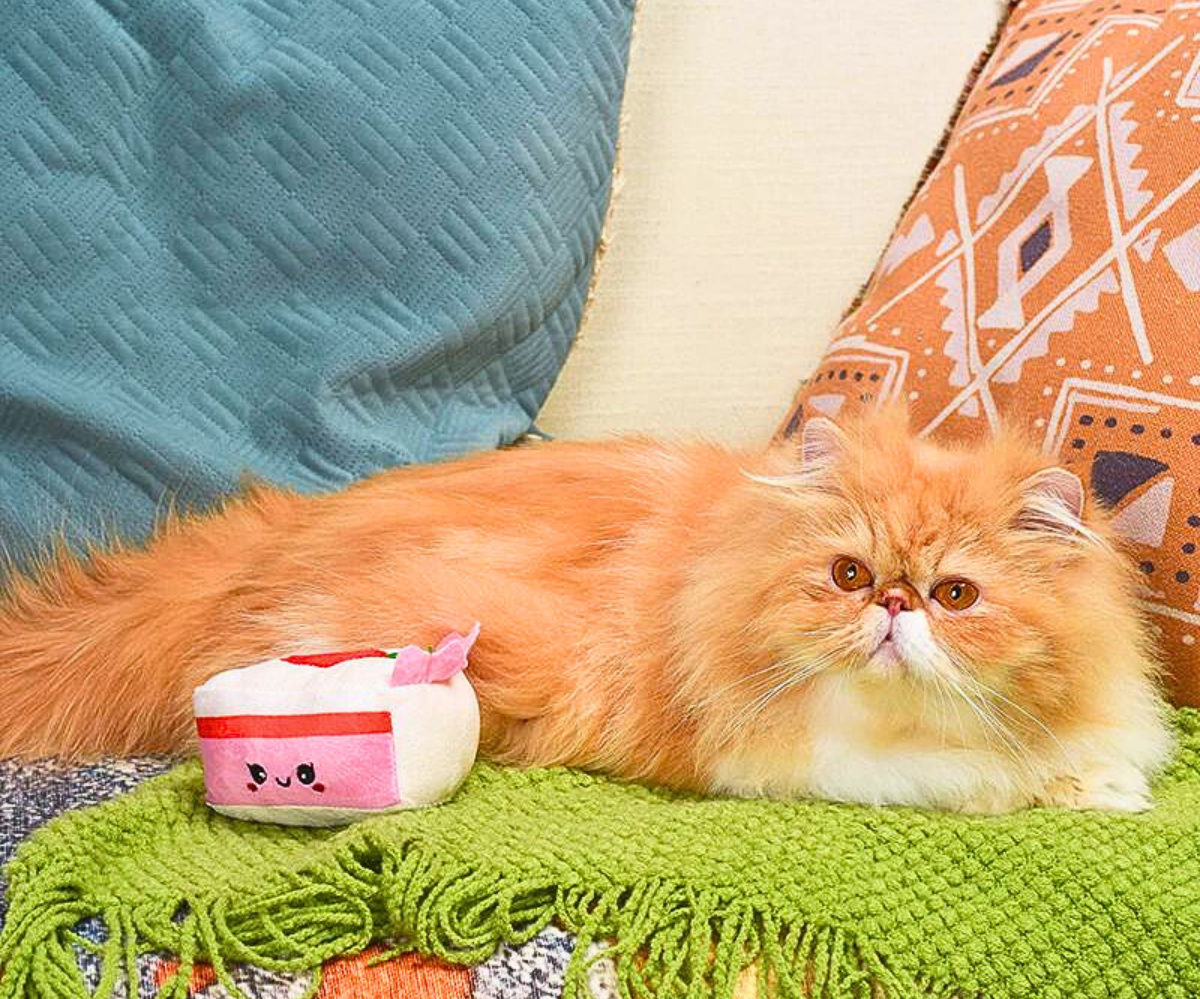 Cat Toy - Strawberry Cake