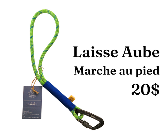 Path Leash - Laisse Aube - Lime & bleu