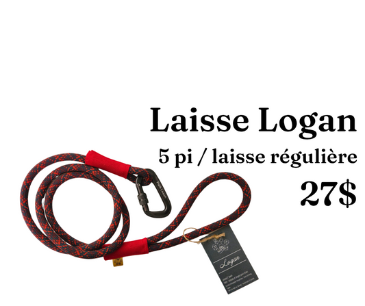 Path Leash - Laisse 5pi - Marine, violet & rouge