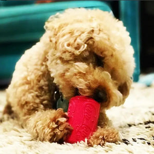 FUGODIWI Balle Interactive Pour Chien : Jouet Automatique à Activation Par Mouvement, Rechargeable USB - Pour Chiots Et Petits Chiens (Bleu)